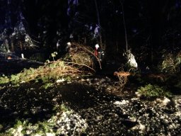 Glatteis-chaos 020214