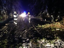 Glatteis-chaos 020214