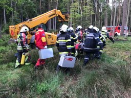 Forstunfall Hainersdorf 120517