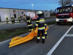 Abschnittsübung 220324